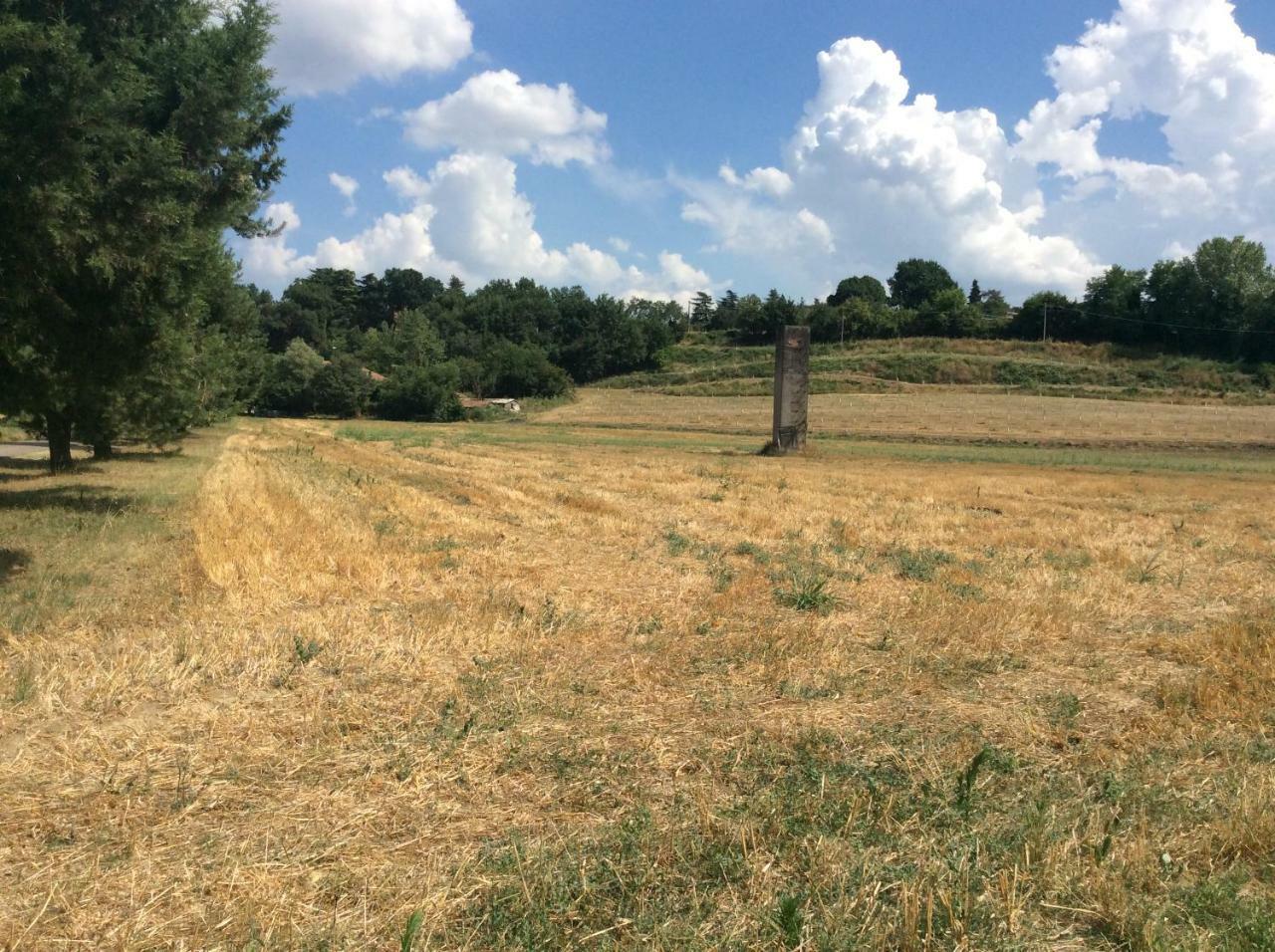 Agriturismo "La Fondazza" Имола Екстериор снимка