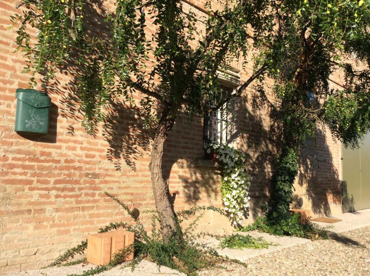 Agriturismo "La Fondazza" Имола Екстериор снимка