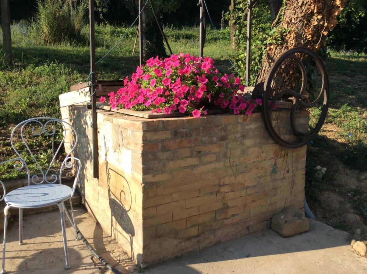 Agriturismo "La Fondazza" Имола Екстериор снимка